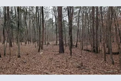 Lots B &amp; C Miller Road #B and C, Camden, SC 29020 - Photo 32
