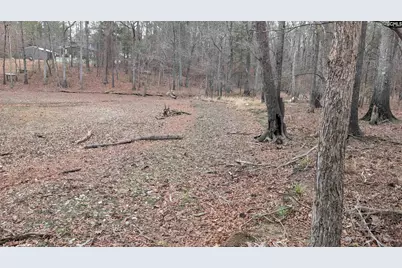 Lots B &amp; C Miller Road #B and C, Camden, SC 29020 - Photo 30