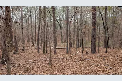 Lots B &amp; C Miller Road #B and C, Camden, SC 29020 - Photo 12