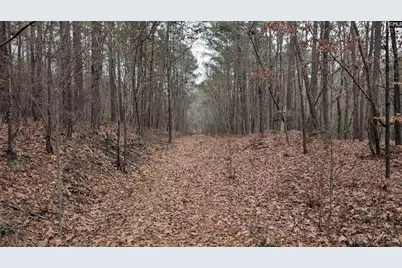 Lots B &amp; C Miller Road #B and C, Camden, SC 29020 - Photo 34
