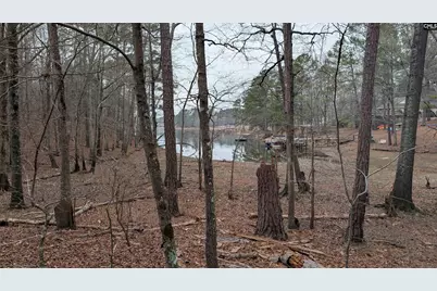 Lots B &amp; C Miller Road #B and C, Camden, SC 29020 - Photo 4