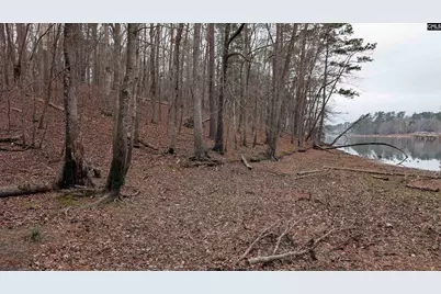 Lots B &amp; C Miller Road #B and C, Camden, SC 29020 - Photo 26