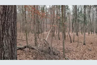 Lots B &amp; C Miller Road #B and C, Camden, SC 29020 - Photo 32