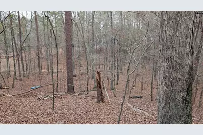 Lots B &amp; C Miller Road #B and C, Camden, SC 29020 - Photo 18