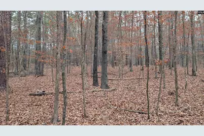 Lots B &amp; C Miller Road #B and C, Camden, SC 29020 - Photo 34