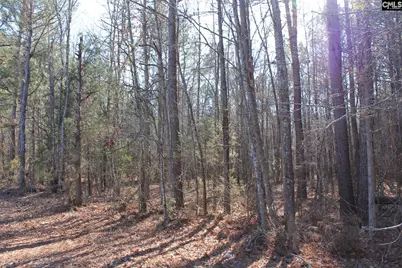 Utopia School Road, Leesville, SC 29070 - Photo 4