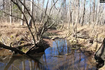 Utopia School Road, Leesville, SC 29070 - Photo 2