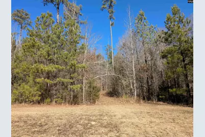 0 Smallwood Road, Ridgeway, SC 29130 - Photo 2