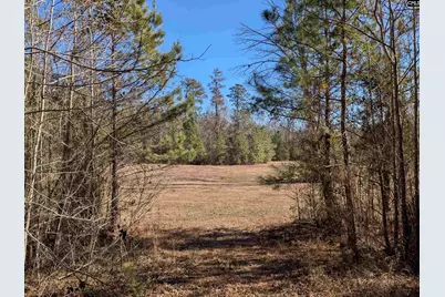 0 Smallwood Road, Ridgeway, SC 29130 - Photo 16