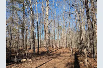 0 Smallwood Road, Ridgeway, SC 29130 - Photo 4