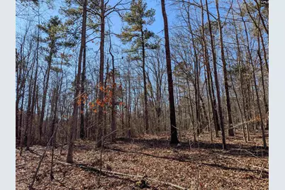 0 Smallwood Road, Ridgeway, SC 29130 - Photo 10