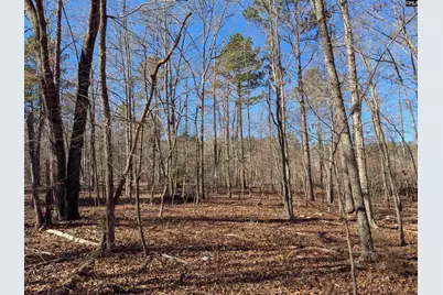 0 Smallwood Road, Ridgeway, SC 29130 - Photo 6