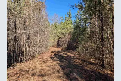 0 Smallwood Road, Ridgeway, SC 29130 - Photo 20