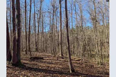 0 Smallwood Road, Ridgeway, SC 29130 - Photo 14