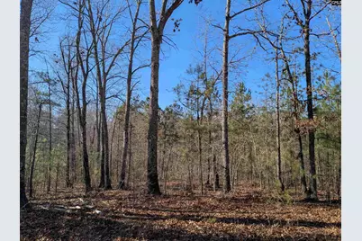 0 Smallwood Road, Ridgeway, SC 29130 - Photo 2
