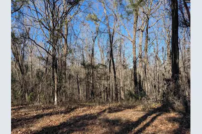 0 Smallwood Road, Ridgeway, SC 29130 - Photo 12