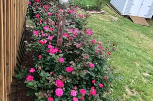 100 Pennbrook Ln, Irmo, SC 29063 - Photo 32