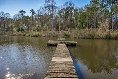 0501 Crooked Creek Road, Chapin, SC 29036 - Photo 18