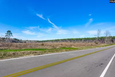 0501 Crooked Creek Road, Chapin, SC 29036 - Photo 24