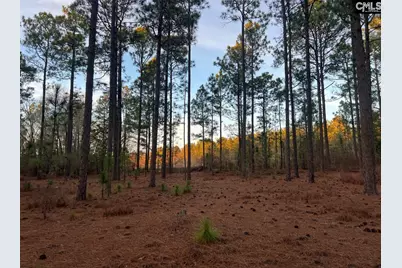 1420 Martin Smith Road, Gilbert, SC 29070 - Photo 2