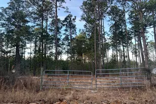 1420 Martin Smith Rd, Gilbert, SC 29070 - Photo 1