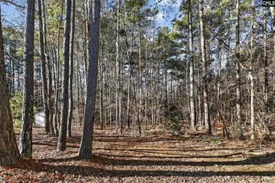 23 Lowescroft Circle, Irmo, SC 29063 - Photo 8