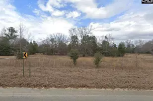 148 Jim Rucker Rd, Swansea, SC 29160 - Photo 10