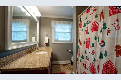 313 Cambridge Street N, Ninety Six, SC 29666 - Photo 10