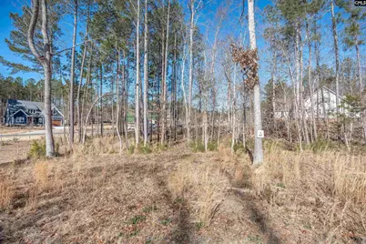 Lot 67 Stewart Landing Drive #67, Prosperity, SC 29127 - Photo 38
