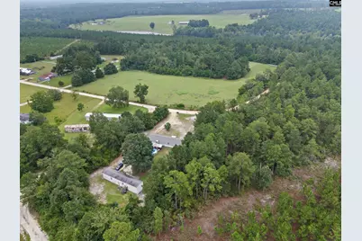 396 Volliedale Drive, Gilbert, SC 29054 - Photo 30