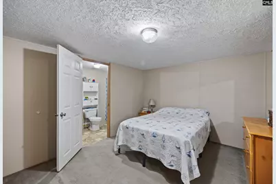 396 Volliedale Drive, Gilbert, SC 29054 - Photo 22