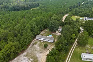 396 Volliedale Dr, Gilbert, SC 29054 - Photo 30
