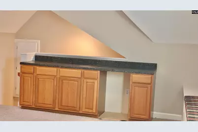 319 Sienna Drive, Chapin, SC 29036 - Photo 40