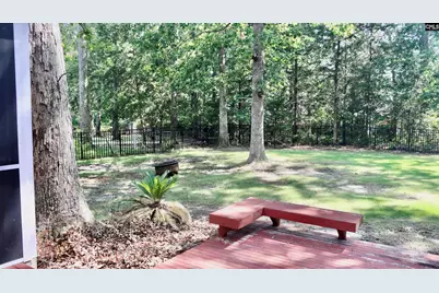 319 Sienna Drive, Chapin, SC 29036 - Photo 36