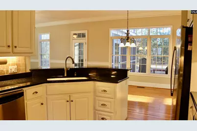 319 Sienna Drive, Chapin, SC 29036 - Photo 48