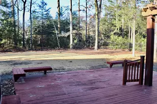 319 Sienna Dr, Chapin, SC 29036 - Photo 52