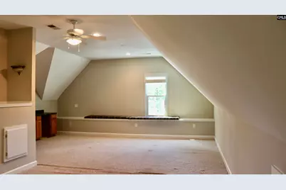 319 Sienna Drive, Chapin, SC 29036 - Photo 28