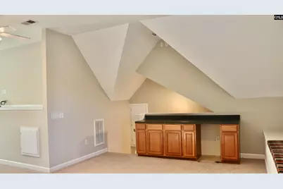 319 Sienna Drive, Chapin, SC 29036 - Photo 60