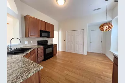 213 Moyer Drive, Chapin, SC 29036 - Photo 22