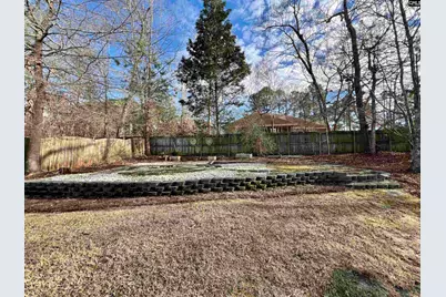 213 Moyer Drive, Chapin, SC 29036 - Photo 54