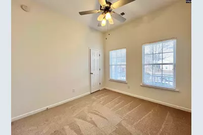 213 Moyer Drive, Chapin, SC 29036 - Photo 42