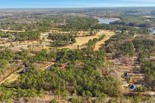 113 Tam-O-Shanter Dr, Blythewood, SC 29016 - Photo 40