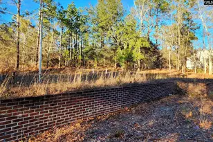 708 Calvary Church Rd, Swansea, SC 29160 - Photo 1