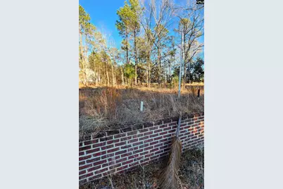 708 Calvary Church Road, Swansea, SC 29160 - Photo 2
