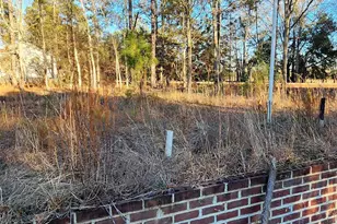 708 Calvary Church Rd, Swansea, SC 29160 - Photo 2