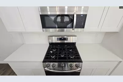 258 Sunny Hill Drive, Blythewood, SC 29016 - Photo 18