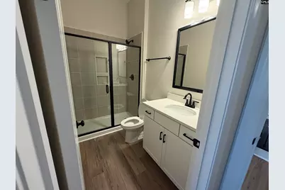 2347 Hadley Crossing, Chapin, SC 29036 - Photo 20