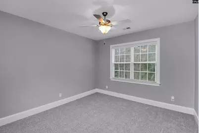 177 Lakeport Drive, Chapin, SC 29036 - Photo 46