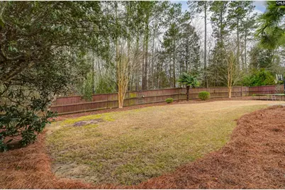 177 Lakeport Drive, Chapin, SC 29036 - Photo 54