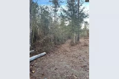 Goo 10A Wendell Lane Goo 10A, Wagener, SC 29164 - Photo 4